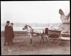 Two men, pony and cart, New York, 1910 or 1911